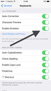 enable dictation