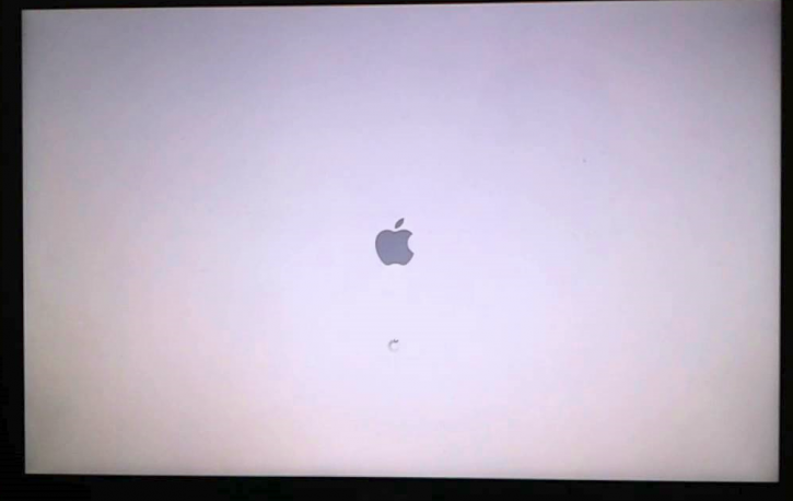 Mac display a white screen with at the Apple logo
