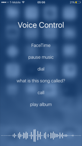 iOS voice control