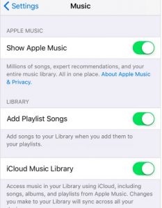 iCloud Music Library 
