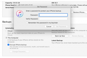 iTunes Backup password setting