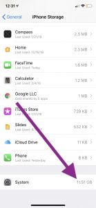 system storage on iPad or iPhone