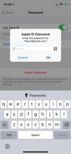 Apple ID password 