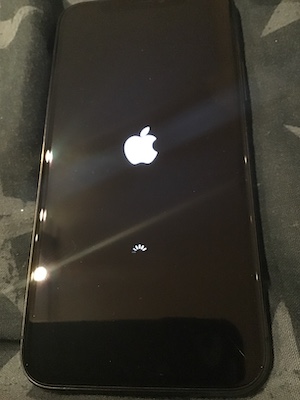How to reset iphone 6 stuck on apple logo