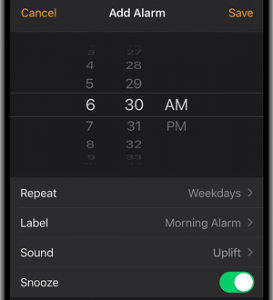 iPhone Alarm