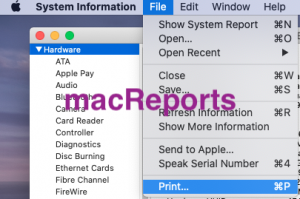 System Information Print