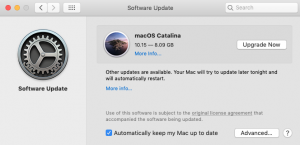 download office 365 installer for mac