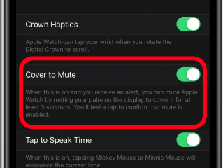 Apple watch mute online phone call