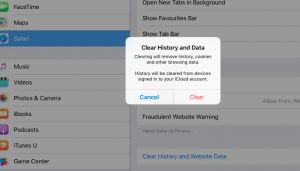 iPad Safari data