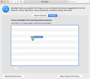 Spotlight Index on Mac
