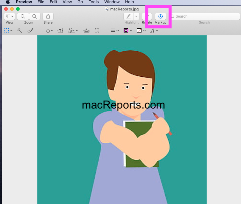 Markup Preview