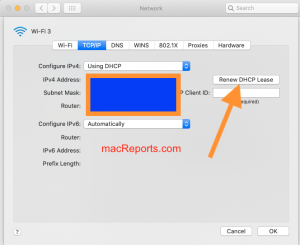 Renew DHCP