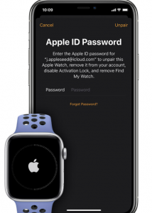 Apple ID Password