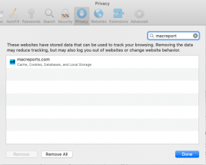 Safari Remove Website Data