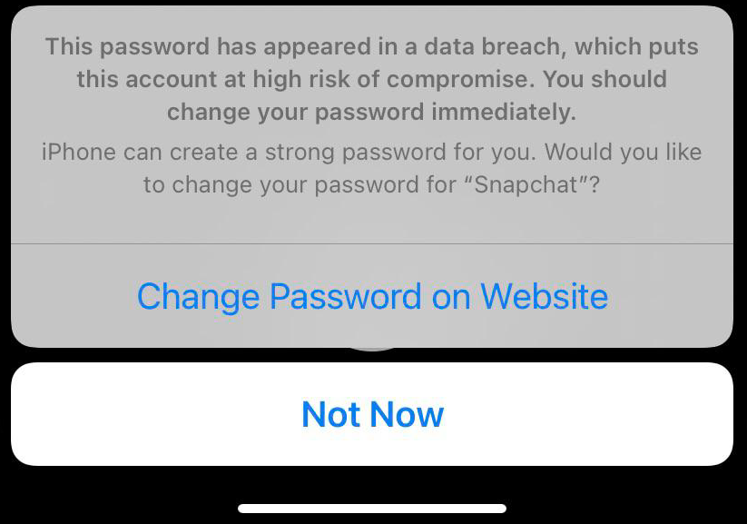 This Password Has Appeared In A Data Leak Security Recommendations On Iphone Macreports