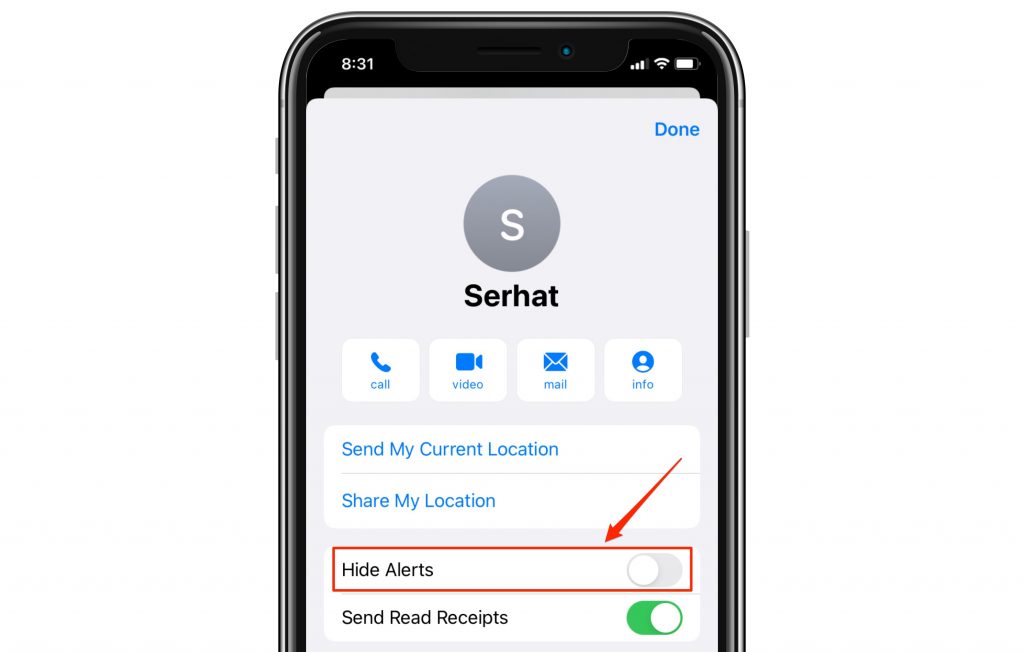 hide alerts iphone