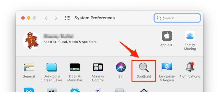 Mac Spotlight Search not Working after macOS Upgrade, Fix • macReports