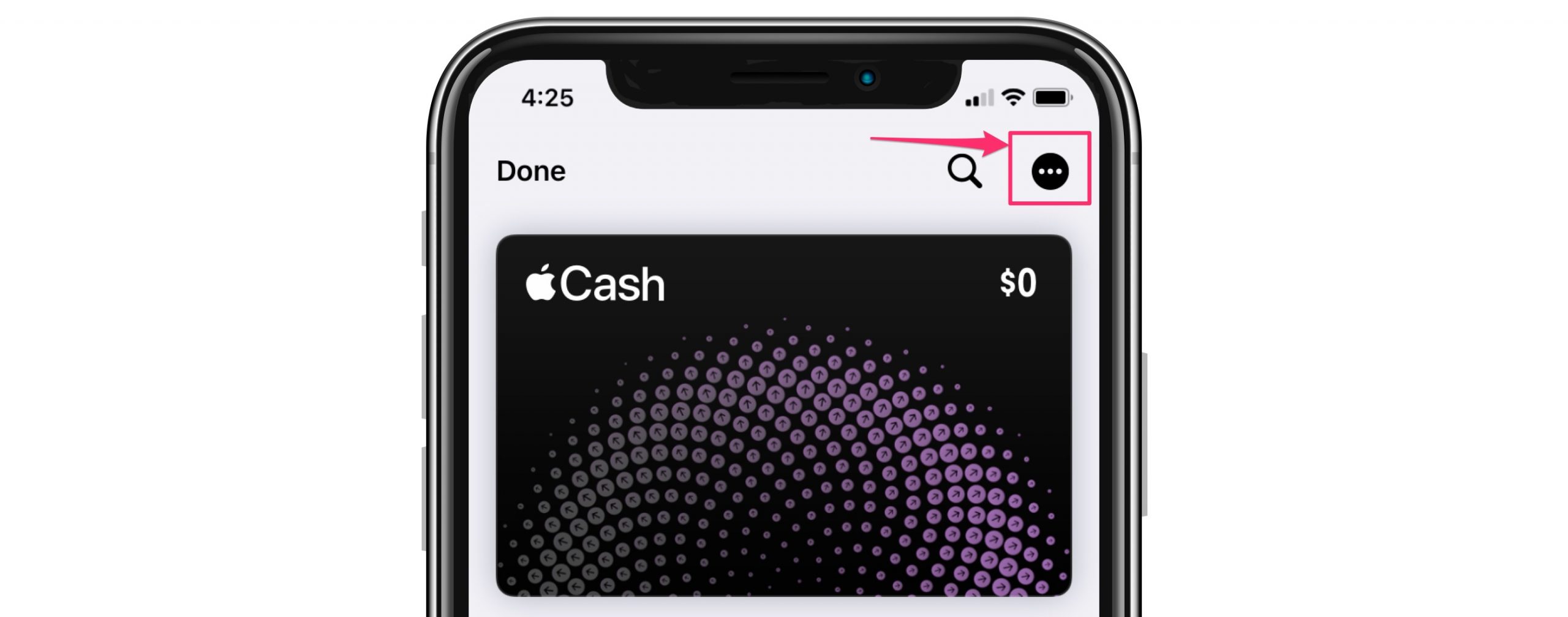 How to Transfer Apple Cash to your Bank • macReports