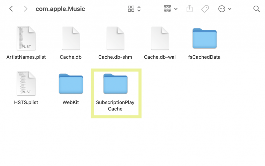 Apple Music Cache folder