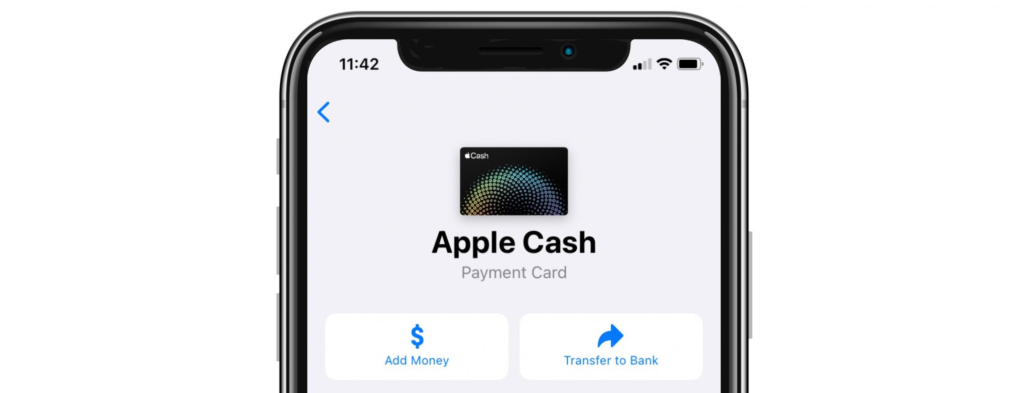 Эпл пей работает 2024. Apple Cash.