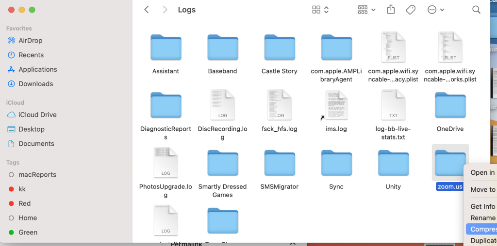 Zoom logs folder