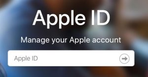 Apple ID entry