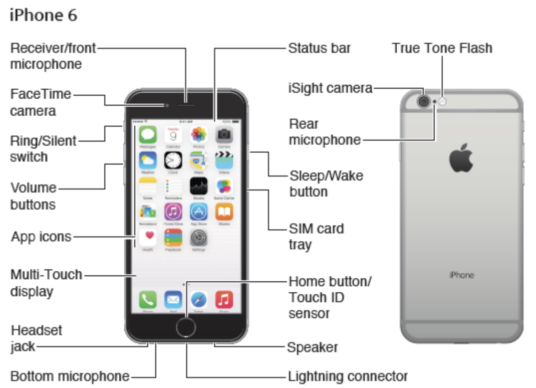 Where Are Your Iphone S Microphones Located All Models Explained Macreports