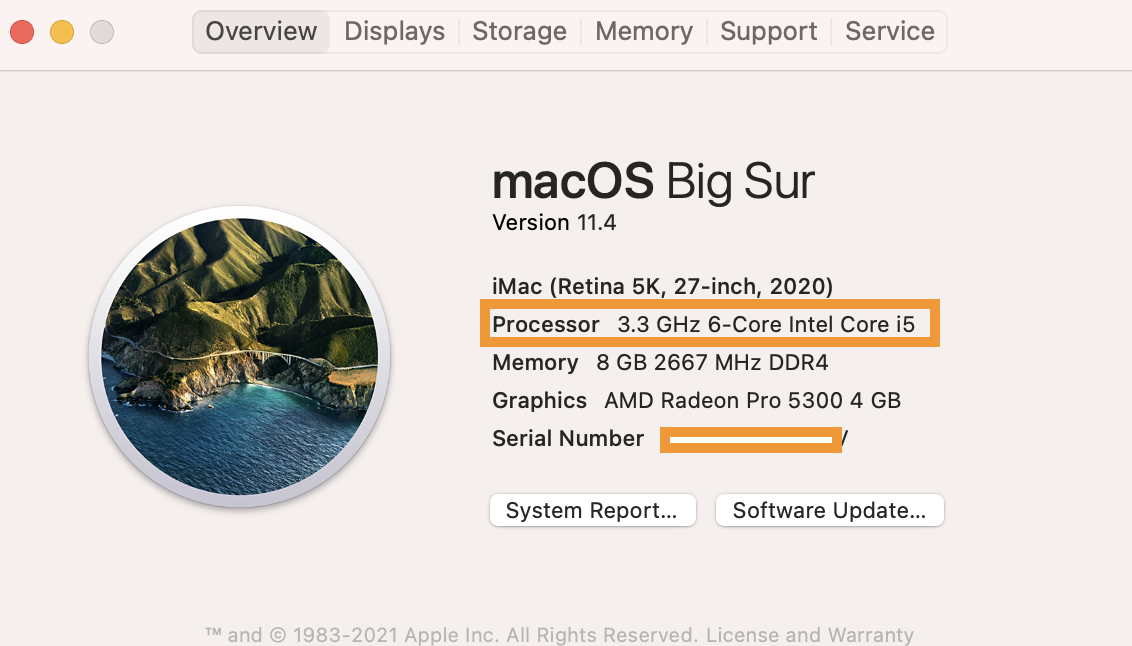 Mac Apple silicon or Intel