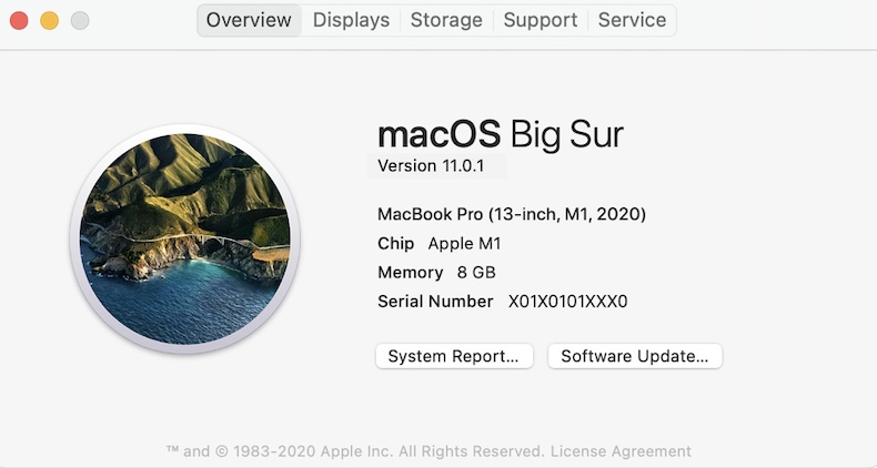 Apple M Mac