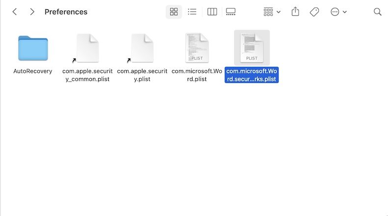 Delete Word Preference files
