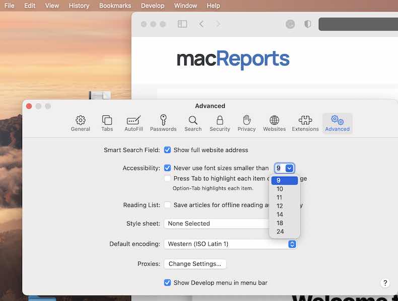 Safari text size