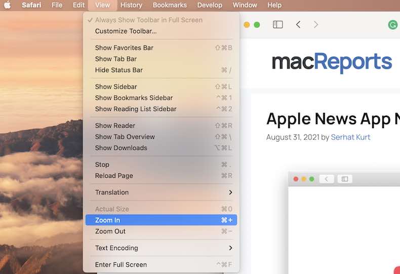 safari zoom out shortcut