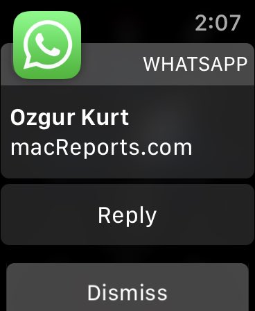 Use WhatsApp on Apple Watch - The Pishon Design Blog