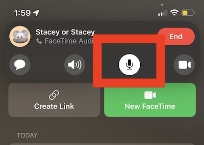 FaceTime Mute button