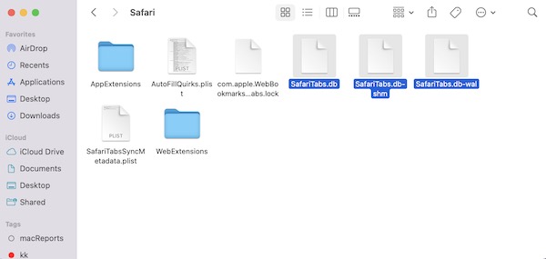 Safari Crash files and preferences