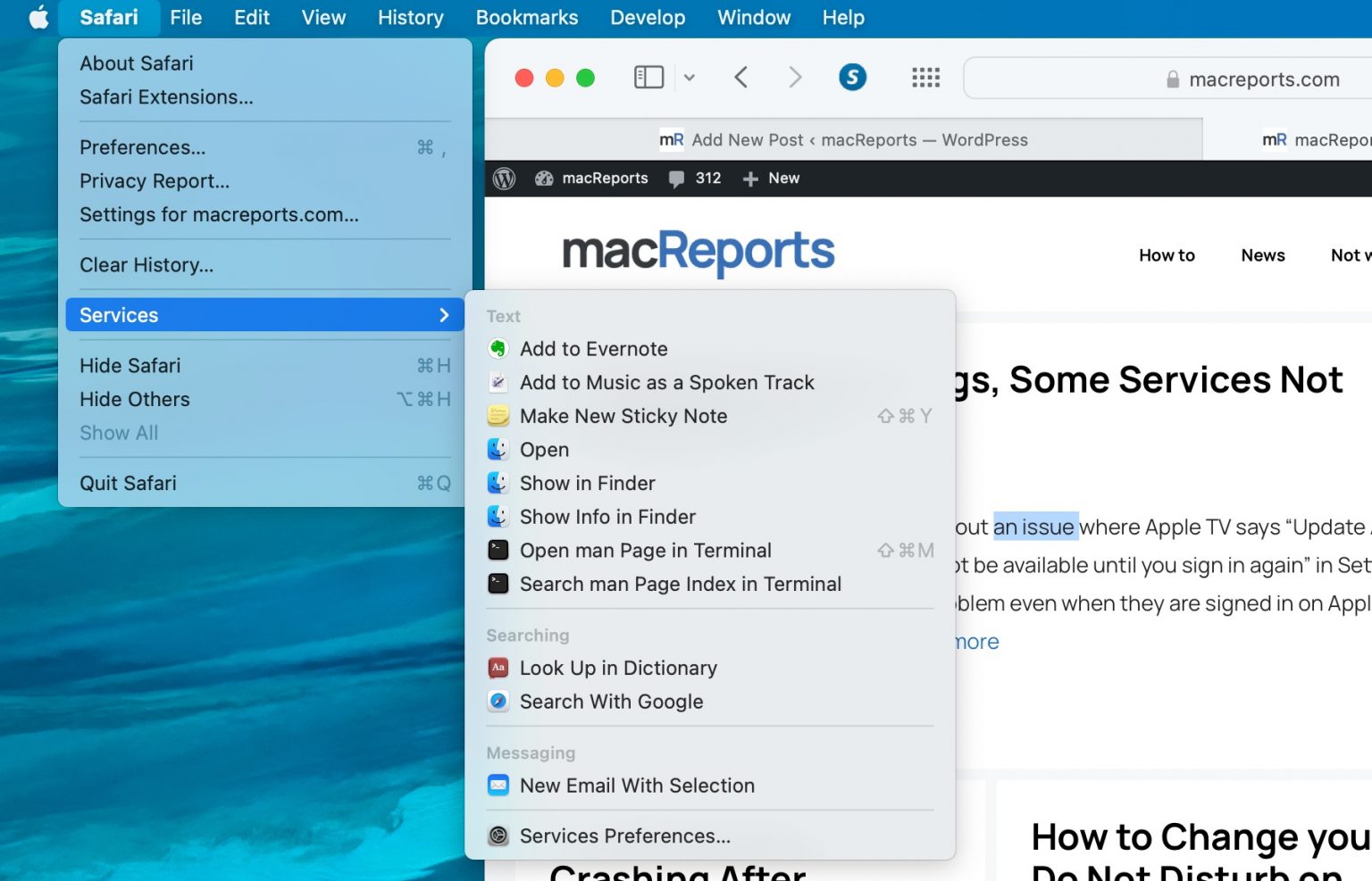 What is the Services Menu in macOS? • macReports