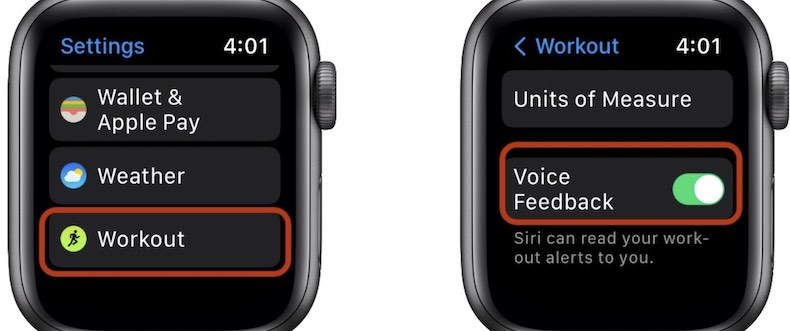 Apple Watch Voice Feedback