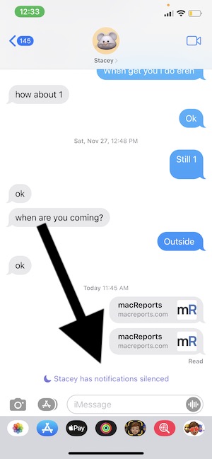 contact-has-notifications-silenced-in-messages-macreports-2023