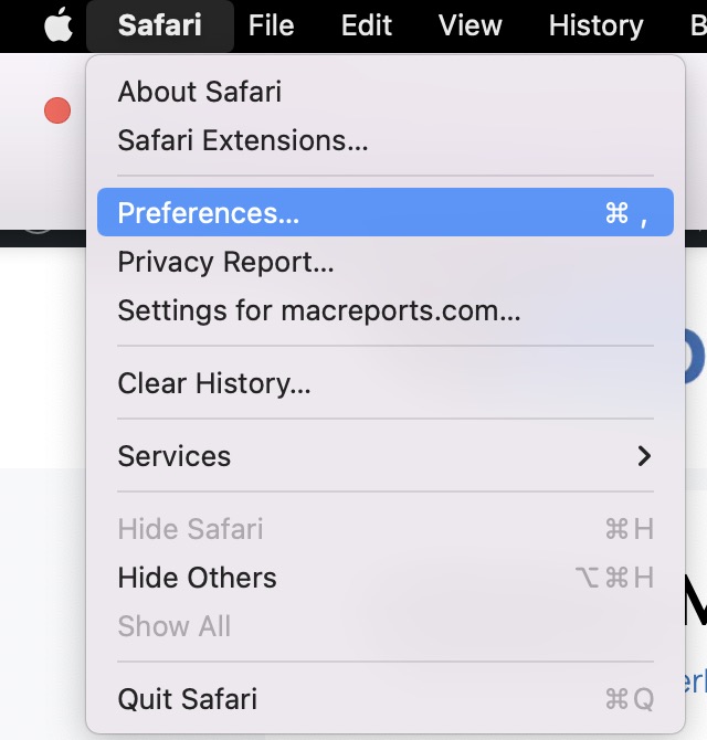 Safari Preferences 