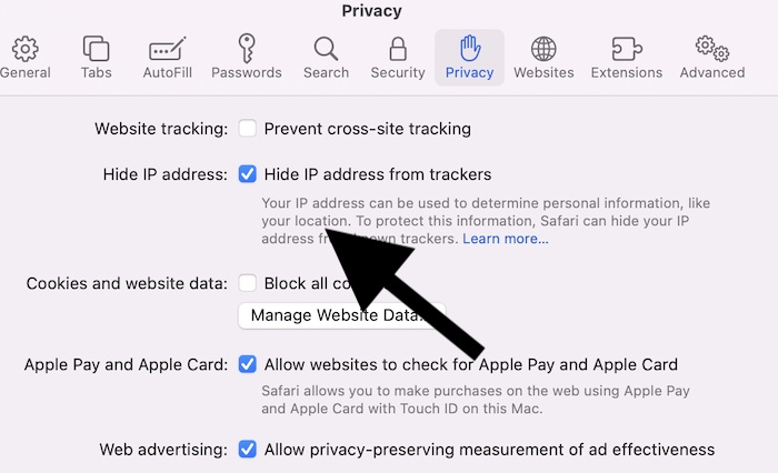Safari Privacy 