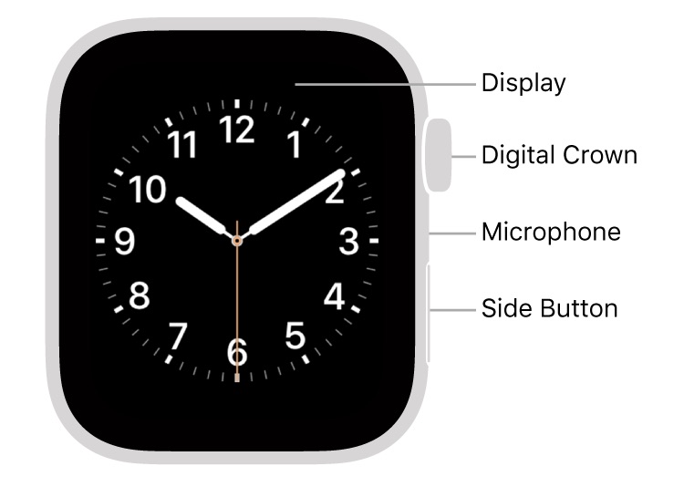 Apple Watch diagram