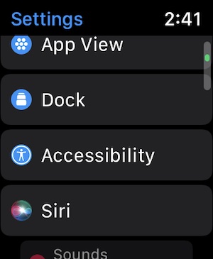 Apple Watch Accessibility 