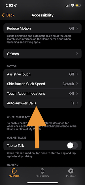 Answer phone on apple watch hot sale