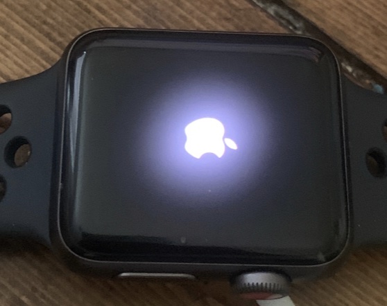 Flashing Apple Logo on Watch