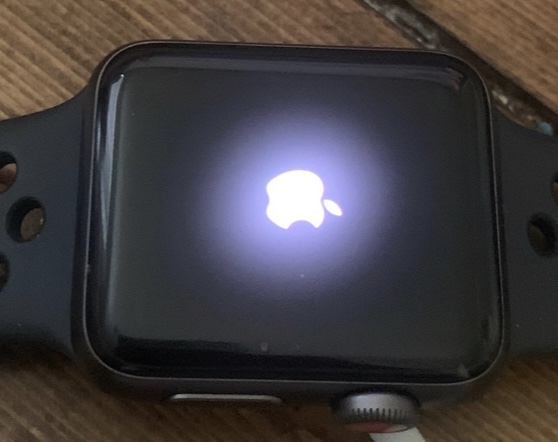 Apple watch blinking best sale logo of doom fix