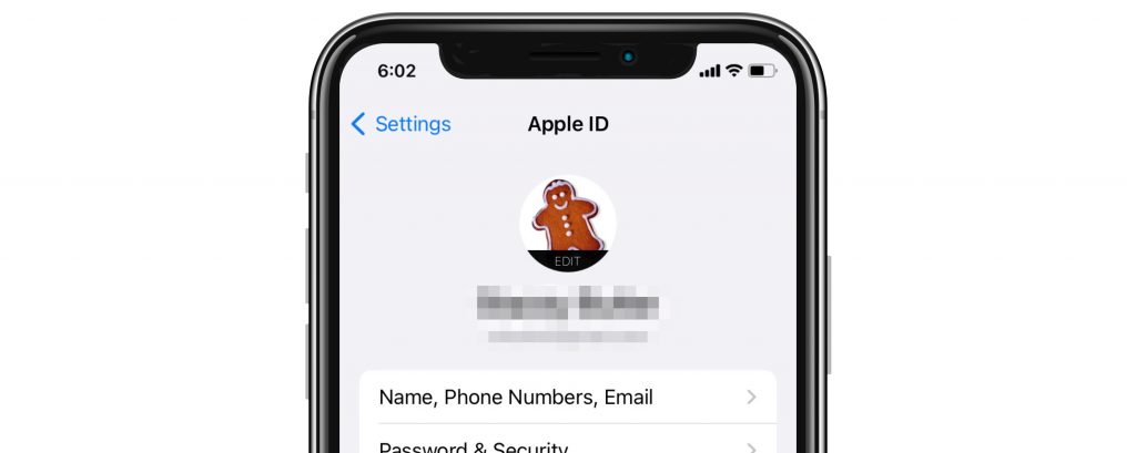 iPhone Apple ID in settings