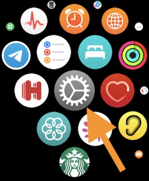 Apple Watch Settings