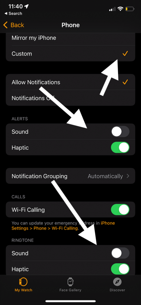 Apple Watch Phone settings