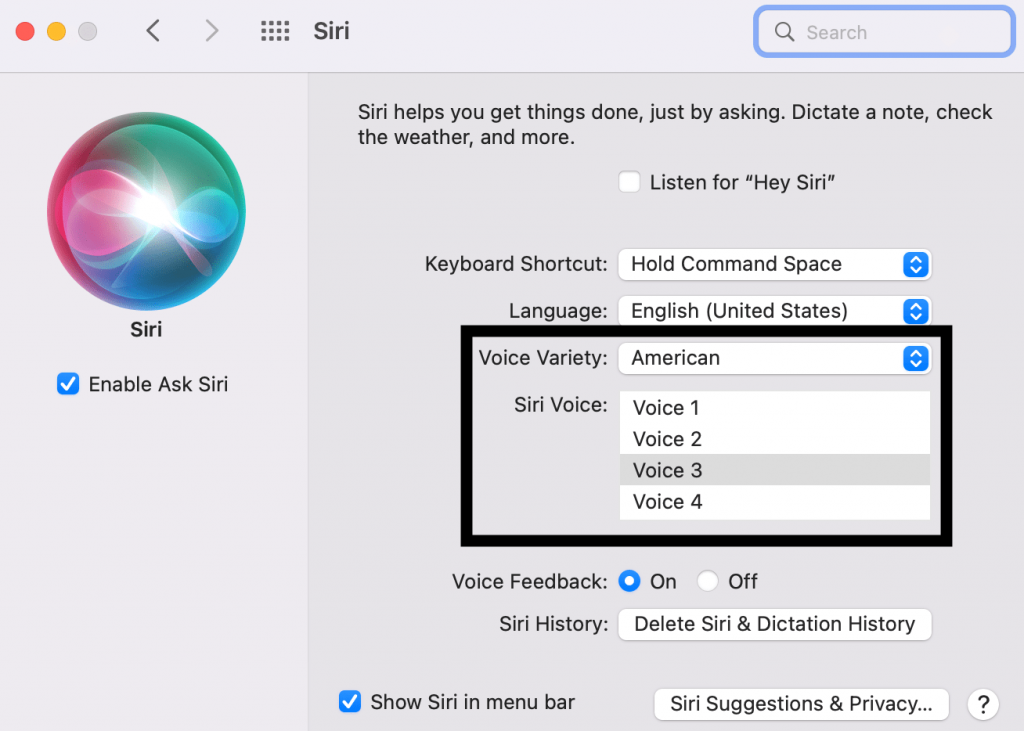 Mac Siri Settings