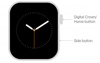 apple watch diagram showing side button